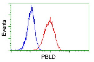 Flow cytometry of HeLa cells, using anti-PBLD antibody, (Red), compared to a nonspecific negative control antibody, (Blue).