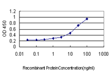 Detection limit for recombinant GST tagged MAZ is approximately 0.3 ng/ml as a capture antibody.