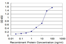 Detection limit for recombinant GST tagged GSTO1 is approximately 0.03 ng/ml as a capture antibody.