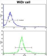 Flow cytometric of widr cells using GSTP1 Antibody (bottom histogram) compared to a negative control cell (top histogram)FITC-conjugated goat-anti-rabbit secondary antibodies were used for the analysis.