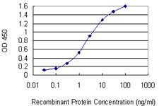Detection limit for recombinant GST tagged GSTT2 is 0.03 ng/ml as a capture antibody.