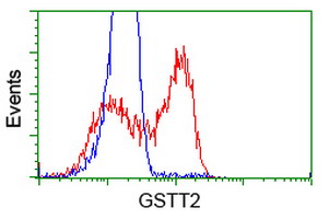 HEK293T cells transfected with either overexpress plasmid (Red) or empty vector control plasmid (Blue) were immunostained by anti-GSTT2 antibody, and then analyzed by flow cytometry.