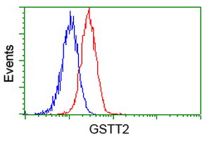 Flow cytometry of HeLa cells, using anti-GSTT2 antibody, (Red), compared to a nonspecific negative control antibody, (Blue).