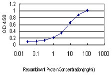 Detection limit for recombinant GST tagged GUCY2D is approximately 0.1 ng/ml as a capture antibody.