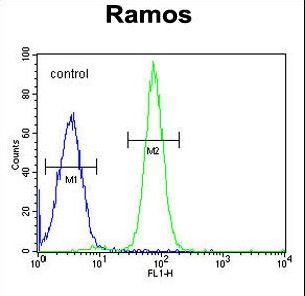 GUCY2D Antibody flow cytometry of Ramos cells (right histogram) compared to a negative control cell (left histogram). FITC-conjugated goat-anti-rabbit secondary antibodies were used for the analysis.