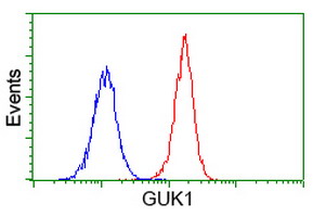 Flow cytometry of Jurkat cells, using anti-GUK1 antibody (Red), compared to a nonspecific negative control antibody (Blue).