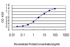 Detection limit for recombinant GST tagged GMNN is approximately 0.03 ng/ml as a capture antibody.