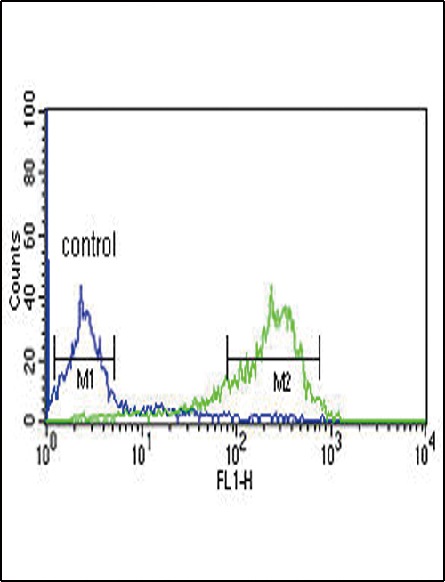 HAPLN1 Antibody flow cytometry of MCF-7 cells (right histogram) compared to a negative control cell (left histogram). FITC-conjugated goat-anti-rabbit secondary antibodies were used for the analysis.
