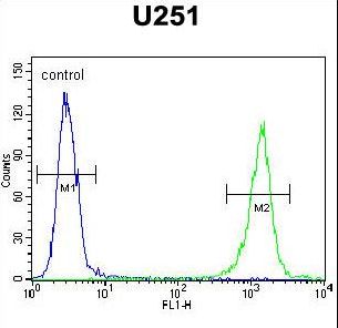 GPAA1 Antibody flow cytometry of U251 cells (right histogram) compared to a negative control cell (left histogram). FITC-conjugated goat-anti-rabbit secondary antibodies were used for the analysis.
