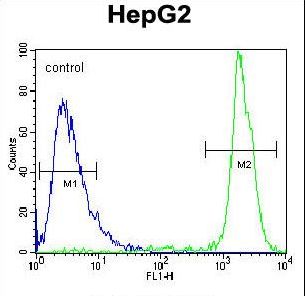 GPAM Antibody flow cytometry of HepG2 cells (right histogram) compared to a negative control cell (left histogram). FITC-conjugated goat-anti-rabbit secondary antibodies were used for the analysis.