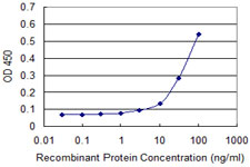 Detection limit for recombinant GST tagged HBZ is approximately 10 ng/ml as a capture antibody.