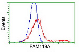 HEK293T cells transfected with either overexpress plasmid (Red) or empty vector control plasmid (Blue) were immunostained by anti-FAM119A antibody, and then analyzed by flow cytometry.