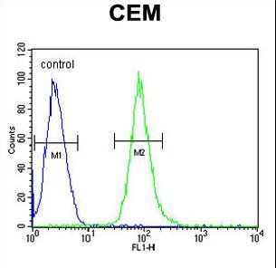 HCK Antibody flow cytometry of CEM cells (right histogram) compared to a negative control cell (left histogram). FITC-conjugated goat-anti-rabbit secondary antibodies were used for the analysis.