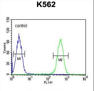 HDAC2 Antibody flow cytometry of K562 cells (right histogram) compared to a negative control cell (left histogram). FITC-conjugated goat-anti-rabbit secondary antibodies were used for the analysis.