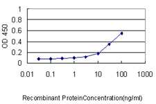 Detection limit for recombinant GST tagged ISG20 is approximately 0.1 ng/ml as a capture antibody.