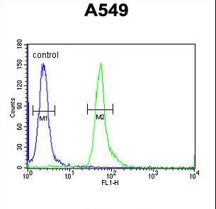 HEMK1 Antibody flow cytometry of A549 cells (right histogram) compared to a negative control cell (left histogram). FITC-conjugated goat-anti-rabbit secondary antibodies were used for the analysis.