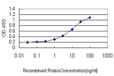 Detection limit for recombinant GST tagged HEYL is approximately 1 ng/ml as a capture antibody.
