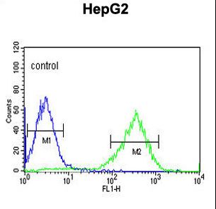 HFE2 Antibody flow cytometry of HepG2 cells (right histogram) compared to a negative control cell (left histogram). FITC-conjugated goat-anti-rabbit secondary antibodies were used for the analysis.