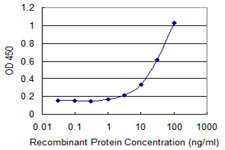 Detection limit for recombinant GST tagged HGD is 1 ng/ml as a capture antibody.