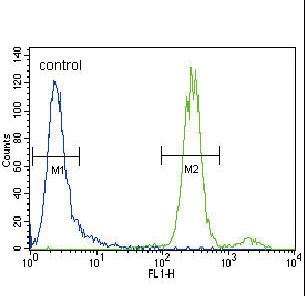 HGF Antibody flow cytometry of CEM cells (right histogram) compared to a negative control cell (left histogram). FITC-conjugated goat-anti-rabbit secondary antibodies were used for the analysis.