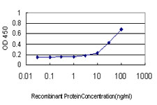 Detection limit for recombinant GST tagged HHIP is approximately 1 ng/ml as a capture antibody.