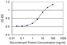 Detection limit for recombinant GST tagged CLCA1 is 0.3 ng/ml as a capture antibody.
