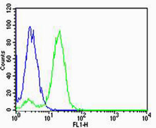 Flow cytometric of HeLa cells with HIST1H2AG Antibody (green) compared to an isotype control of rabbit IgG (blue). Antibody was diluted at 1:25 dilution. An Alexa Fluor 488 goat anti-rabbit lgG at 1:400 dilution was used as the secondary antibody.