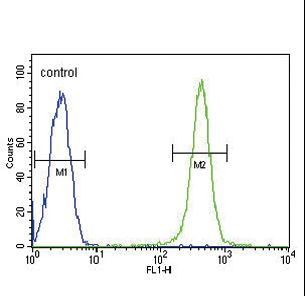 GPI Antibody flow cytometry of Ramos cells (right histogram) compared to a negative control cell (left histogram). FITC-conjugated goat-anti-rabbit secondary antibodies were used for the analysis.