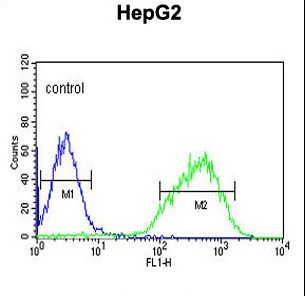 HIST1H2AL Antibody flow cytometry of HepG2 cells (right histogram) compared to a negative control cell (left histogram). FITC-conjugated goat-anti-rabbit secondary antibodies were used for the analysis.