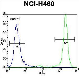 HIST3H3 Antibody flow cytometry of NCI-H460 cells (right histogram) compared to a negative control cell (left histogram). FITC-conjugated goat-anti-rabbit secondary antibodies were used for the analysis.