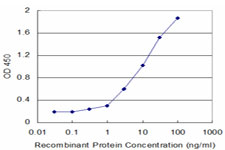 Detection limit for recombinant GST tagged HK2 is approximately 0.3 ng/ml as a capture antibody.