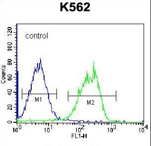 HLA-DQA1 Antibody flow cytometry of K562 cells (right histogram) compared to a negative control cell (left histogram). FITC-conjugated goat-anti-rabbit secondary antibodies were used for the analysis.