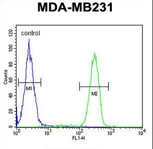 HLA-F Antibody flow cytometry of MDA-MB231 cells (right histogram) compared to a negative control cell (left histogram). FITC-conjugated goat-anti-rabbit secondary antibodies were used for the analysis.