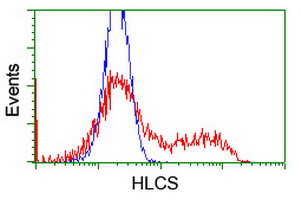 HEK293T cells transfected with either overexpress plasmid (Red) or empty vector control plasmid (Blue) were immunostained by anti-HLCS antibody, and then analyzed by flow cytometry.