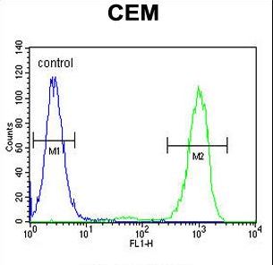 GPM6B Antibody flow cytometry of CEM cells (right histogram) compared to a negative control cell (left histogram). FITC-conjugated goat-anti-rabbit secondary antibodies were used for the analysis.