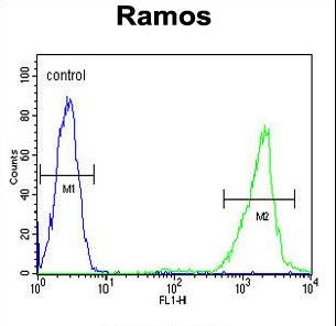 HMMR Antibody flow cytometry of Ramos cells (right histogram) compared to a negative control cell (left histogram). FITC-conjugated goat-anti-rabbit secondary antibodies were used for the analysis.