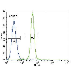 HMOX1 Antibody flow cytometry of A549 cells (right histogram) compared to a negative control cell (left histogram). FITC-conjugated goat-anti-rabbit secondary antibodies were used for the analysis.