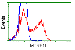 HEK293T cells transfected with either pCMV6-ENTRY MTRF1L (Red) or empty vector control plasmid (Blue) were immunostained with anti-MTRF1L mouse monoclonal, and then analyzed by flow cytometry.