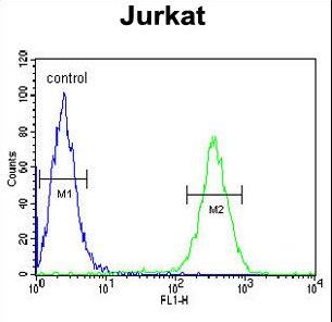 HNRPL Antibody flow cytometry of Jurkat cells (right histogram) compared to a negative control cell (left histogram). FITC-conjugated goat-anti-rabbit secondary antibodies were used for the analysis.