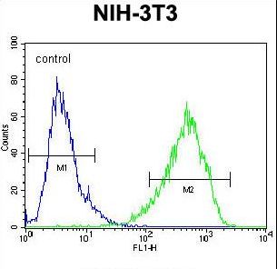 HOMEZ Antibody flow cytometry of NIH-3T3 cells (right histogram) compared to a negative control cell (left histogram). FITC-conjugated goat-anti-rabbit secondary antibodies were used for the analysis.