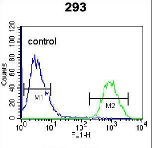 HOPX Antibody flow cytometry of 293 cells (right histogram) compared to a negative control cell (left histogram). FITC-conjugated goat-anti-rabbit secondary antibodies were used for the analysis.
