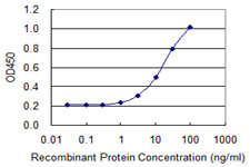 Detection limit for recombinant GST tagged HOXA1 is 0.3 ng/ml as a capture antibody.