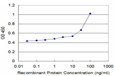 Detection limit for recombinant GST tagged HOXA6 is approximately 1 ng/ml as a capture antibody.