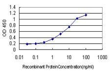 Detection limit for recombinant GST tagged HOXA7 is approximately 0.1 ng/ml as a capture antibody.