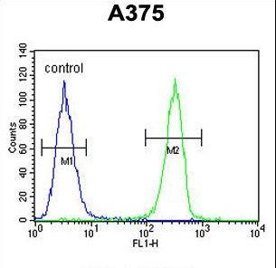 HOXA9 Antibody flow cytometry of A375 cells (right histogram) compared to a negative control cell (left histogram). FITC-conjugated goat-anti-rabbit secondary antibodies were used for the analysis.