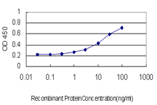 Detection limit for recombinant GST tagged HOXB8 is approximately 1 ng/ml as a capture antibody.