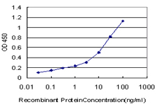 Detection limit for recombinant GST tagged HOXC12 is approximately 0.1 ng/ml as a capture antibody.
