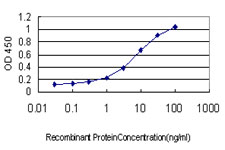 Detection limit for recombinant GST tagged HOXC8 is approximately 0.1 ng/ml as a capture antibody.