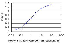 Detection limit for recombinant GST tagged HOXD11 is approximately 0.03 ng/ml as a capture antibody.