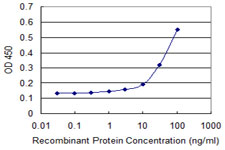 Detection limit for recombinant GST tagged HOXD3 is approximately 10 ng/ml as a capture antibody.
